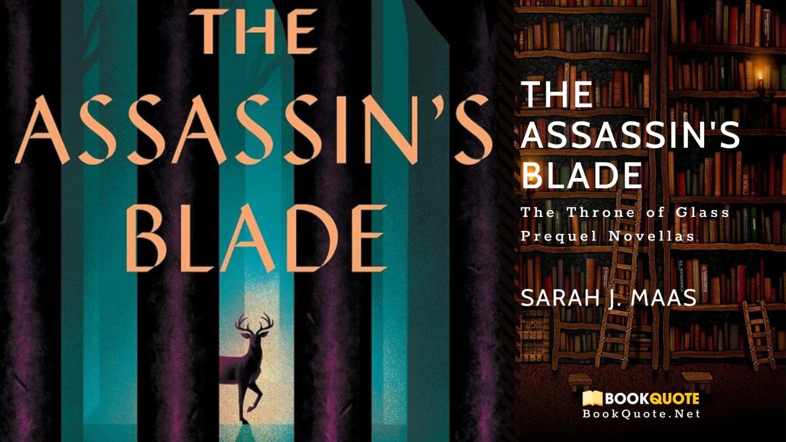 [Reviews & Quotes] The Assassin's Blade by Sarah J. Maas